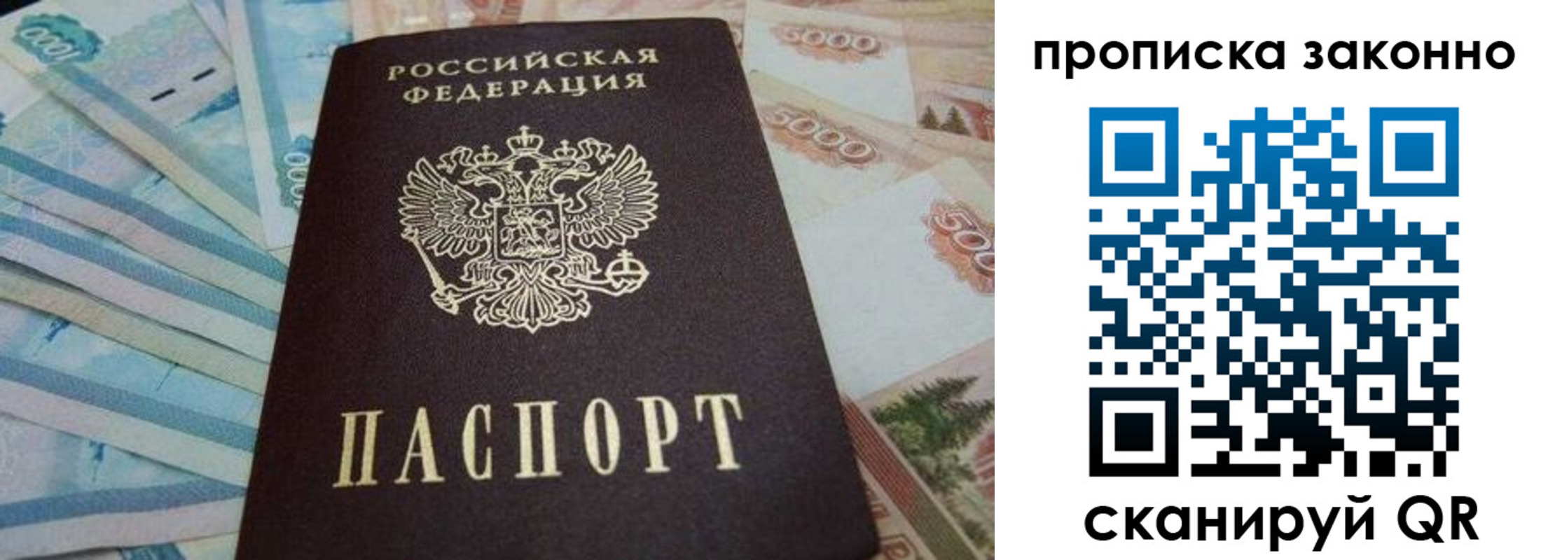 где прописаться в Нелидово